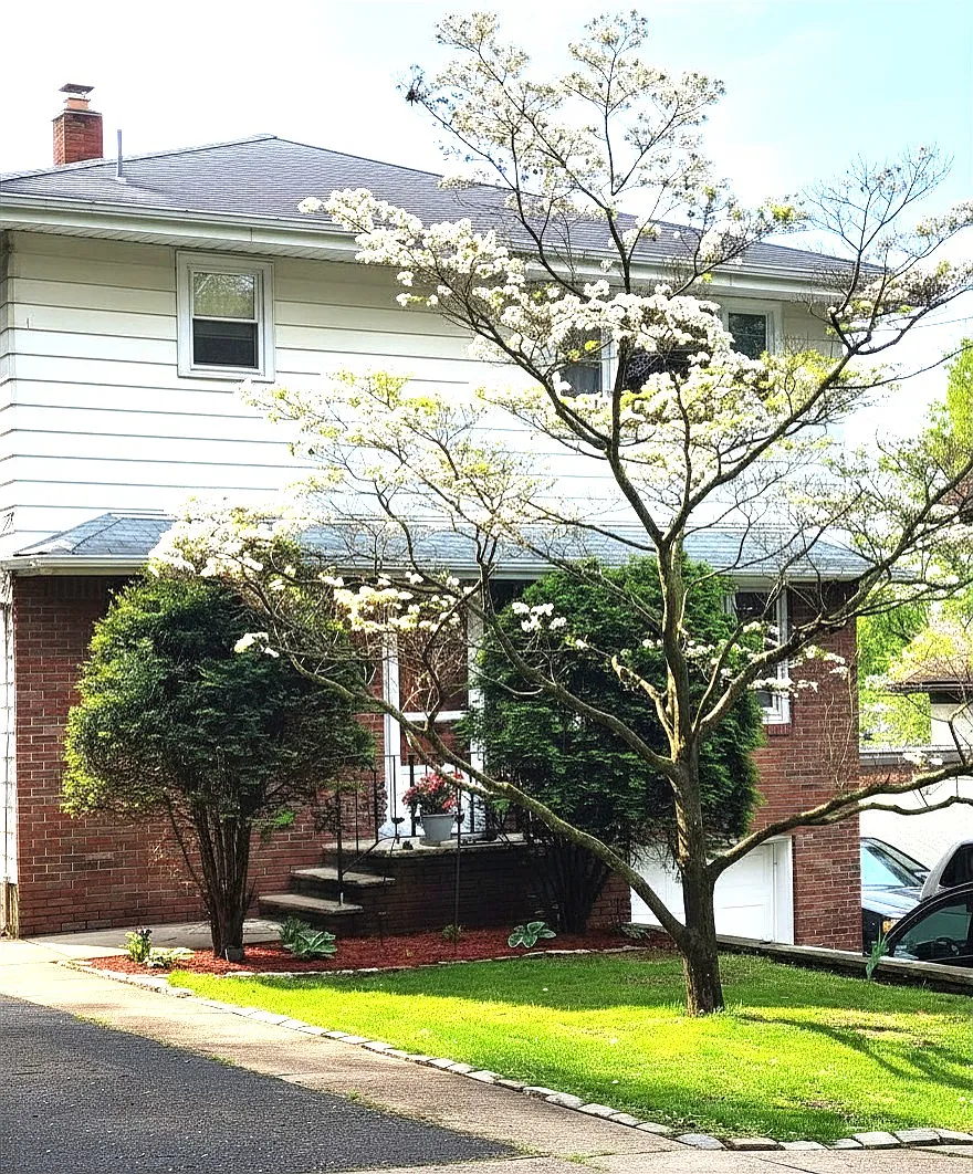 Building Photo - 29 Woodland Rd #2