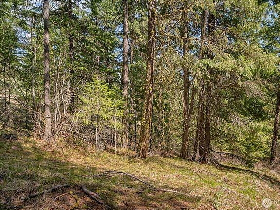 2nd image of 0 Skull Springs Road