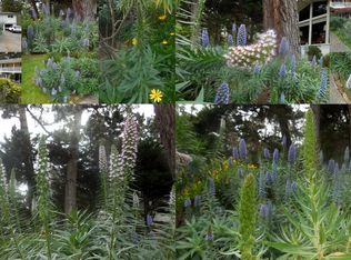 22 Greenwood Vale, Monterey, CA 93940