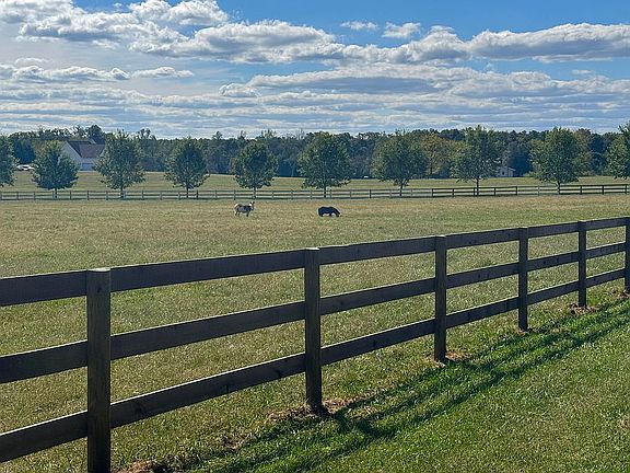 Photo of the neighborhood