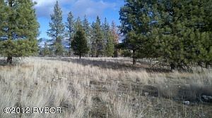 Open sunny garden spots