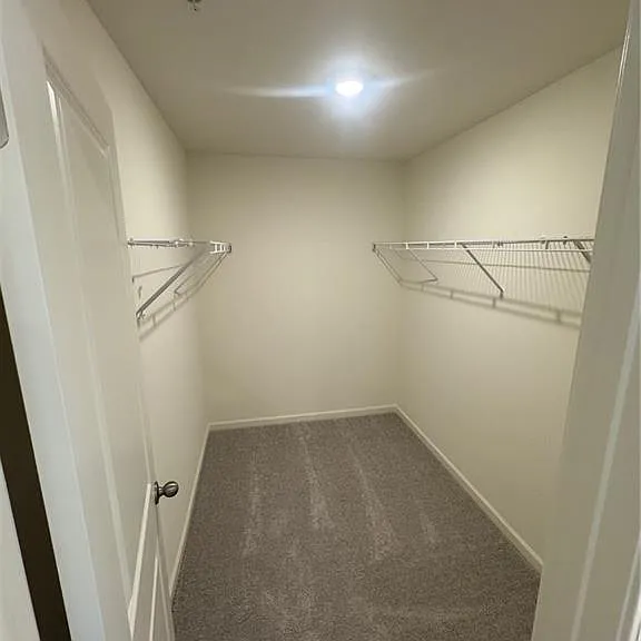3009 Acacia Cir — Photo 12