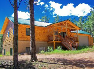 113 Blue Mountain Dr, Florissant, CO 80816