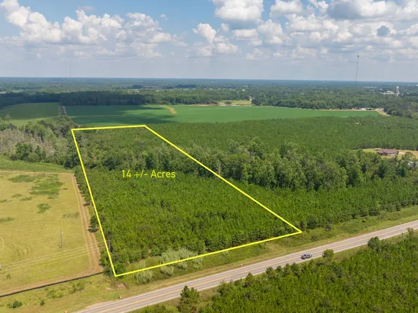 0 State Highway 133, Doerun, GA 31744