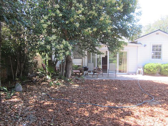 Back yard in the afternoon