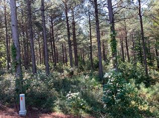 Eagles Crest Reece Mountain Rd LOT 40, Ellijay, GA 30536