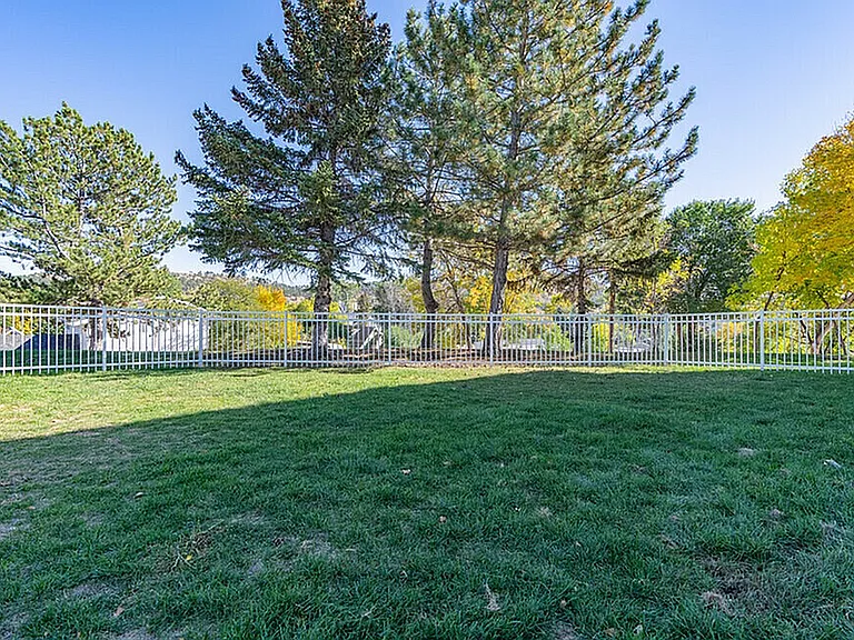 Pet Park