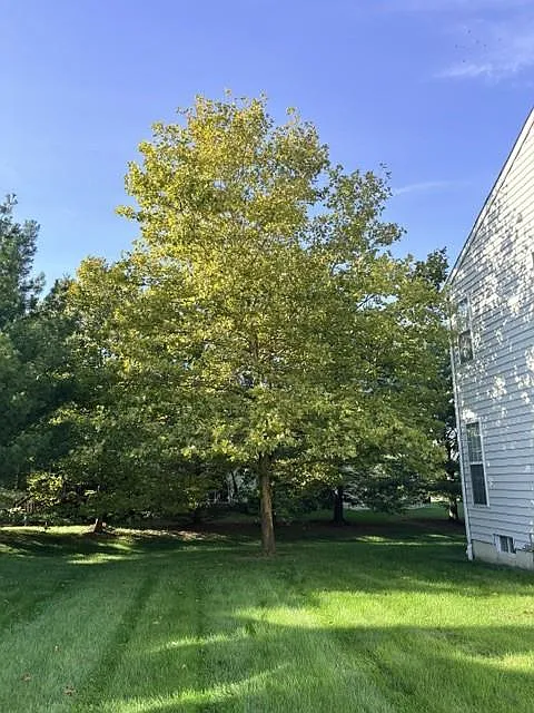 3 bed, 2.5 bath, 2547 sqft, $2,850 — Photo 2