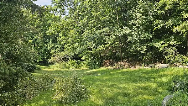 183 Skiba Rd — Photo 13