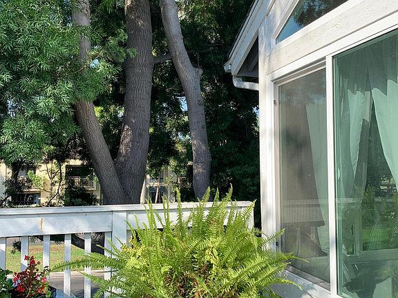 Patio shaded by beautiful trees that let in just enough light. Plenty of room for plants and patio furniture