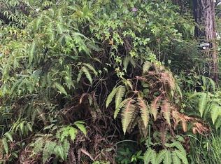 Maui St LOT 11, Mountain View, HI 96771