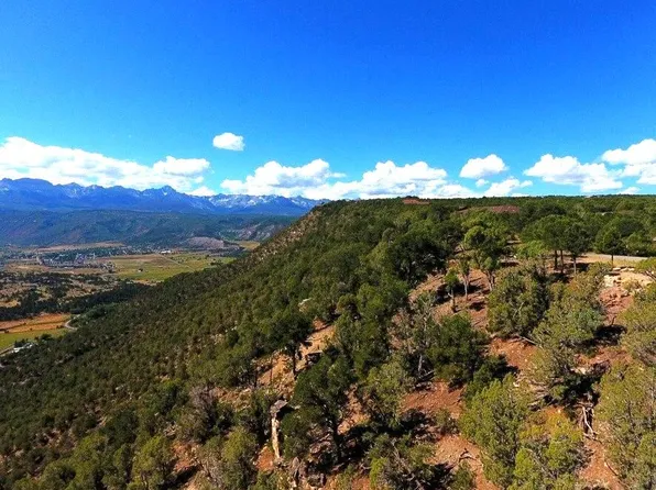 43 Pine Dr #43, Ridgway, CO 81432
