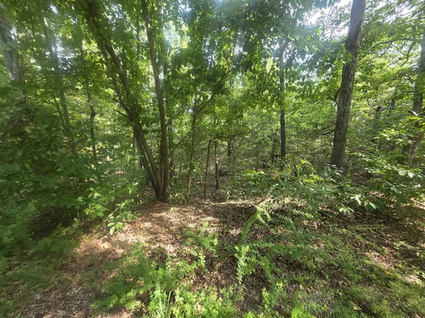 L10b4 Anadarko Dr, Cherokee Village, AR 72529