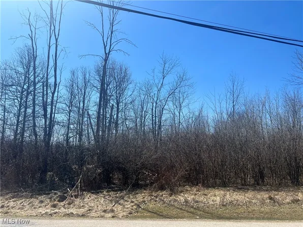 681&682 Rome Rock Creek Rd, Rock Creek, OH 44084