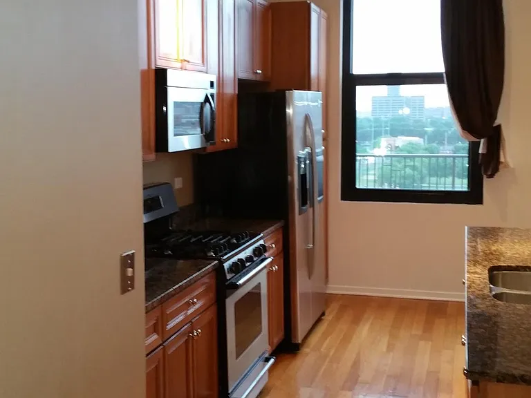 1525 S Sangamon St #PENTHOUSE — Photo 16