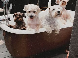 2131 Penn Rd, Lewes, DE 19958