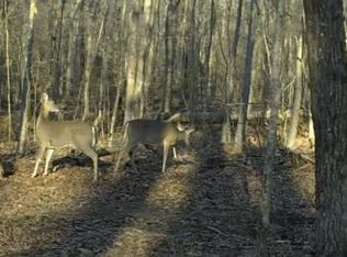 0 Preacher Spry Rd, Bradyville, TN 37026