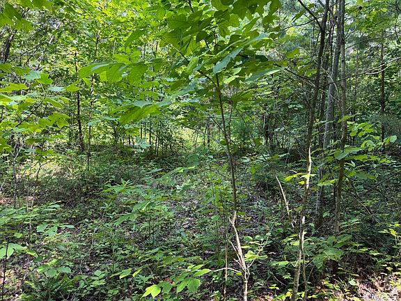 5th image of 9 Tucker Hollow Rd