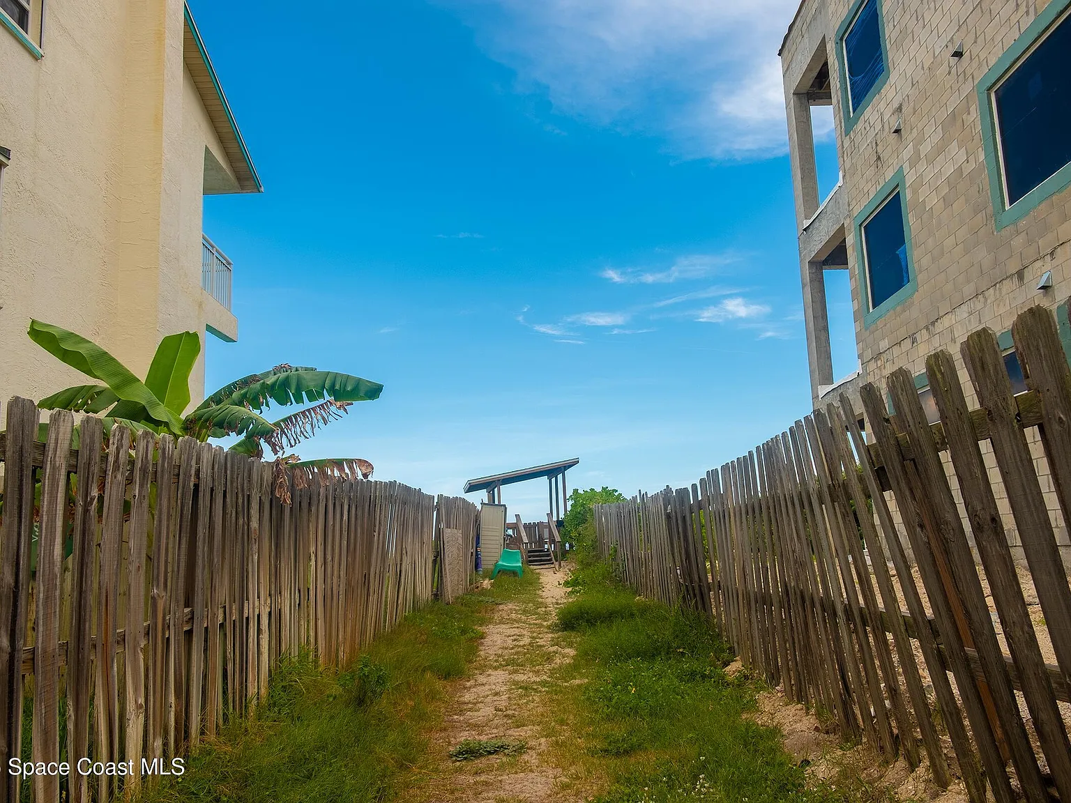3 bed, 2.0 bath, 1570 sqft, $2,800 — Photo 4