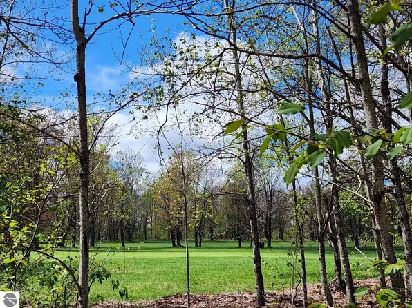 Fairway Holw, Mancelona, MI 49659