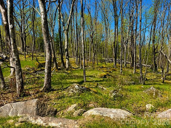 4th image of Es 21 Eagle Springs Trl