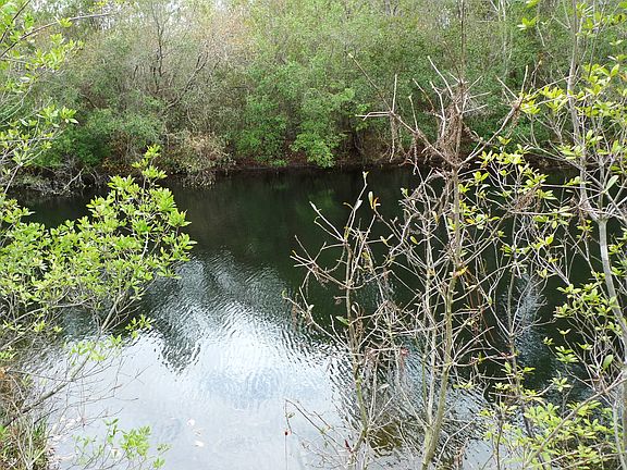 3rd image of 12009 County Road 97
