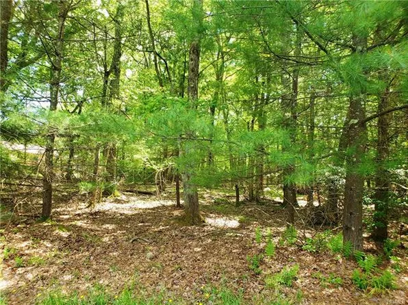 Norfolk Ct, Rock Hill, NY 12775