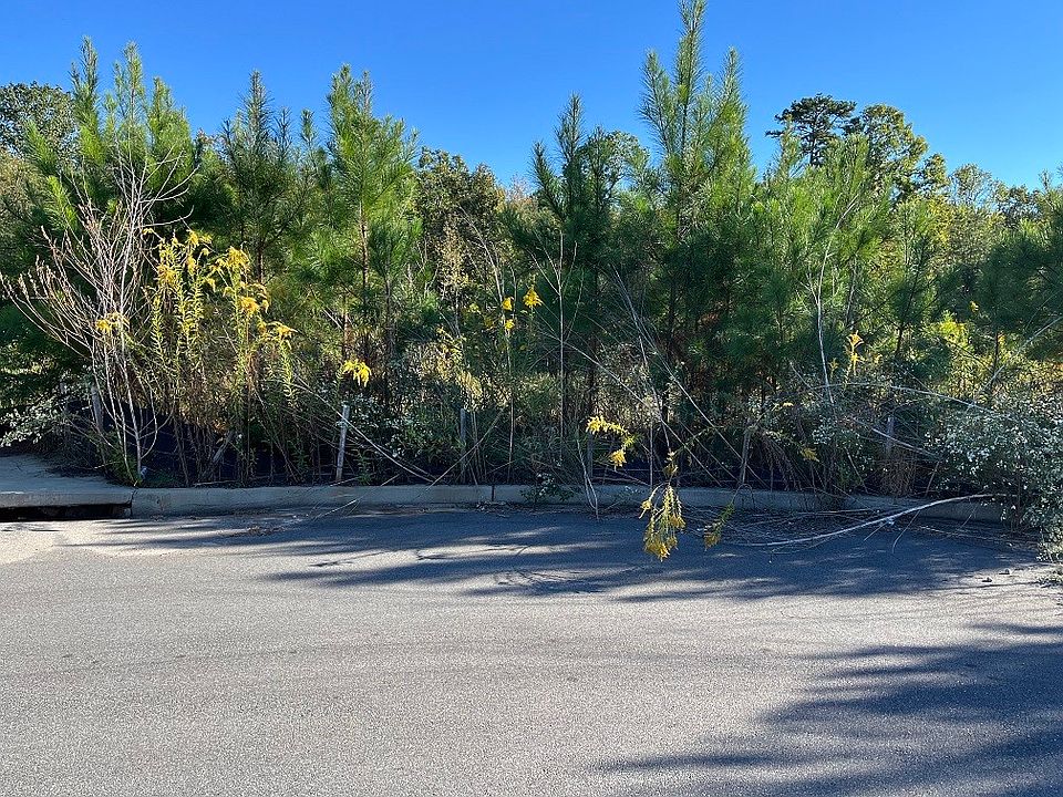 2nd image of 0 Lee Road 2192