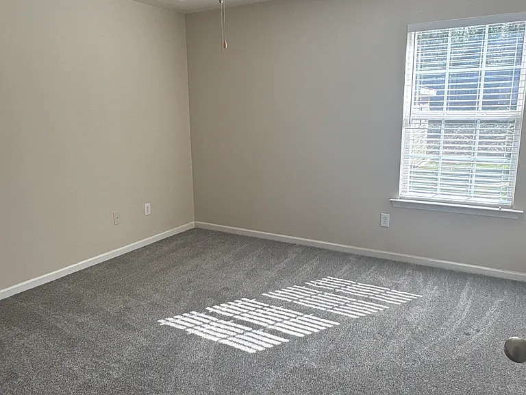 114 Palm Branch Way — Photo 8