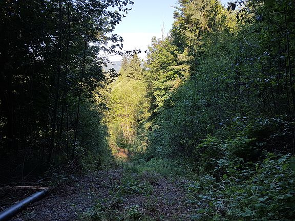 3rd image of 200XX 103rd Ave NE