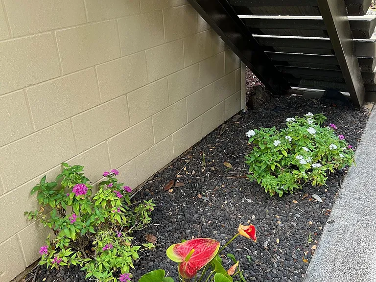 120 Hui Rd E #1 — Photo 24
