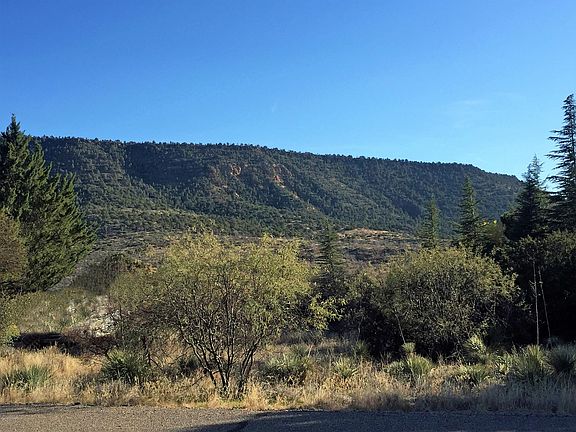 5th image of 175 Gray Fox Dr