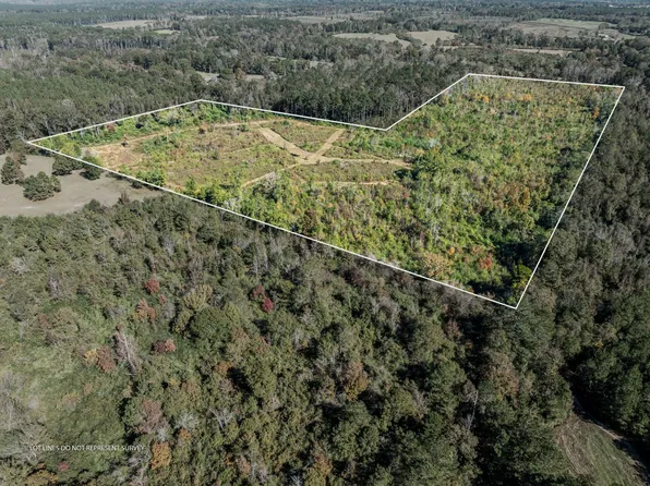 0 Lindsey Dr, Mount Olive, MS 39119