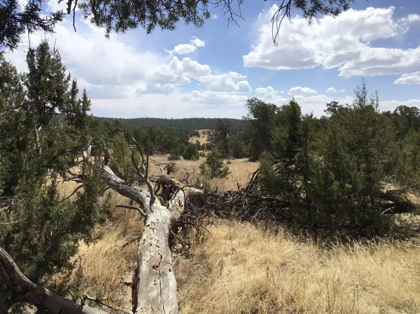 LOT 7 Candy Kitchen Rd, Pinehill, NM 87357