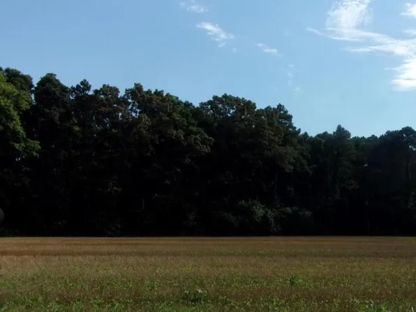 2-133 6.00 18.02 East Piney Grove Rd, Georgetown, DE 19947