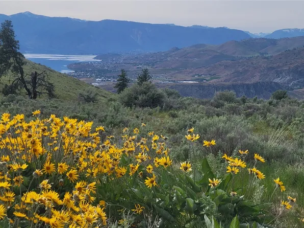 0 Coyote's Curve Road, Orondo, WA 98843