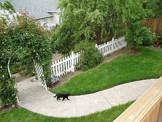 fenced back yard with view to coast range