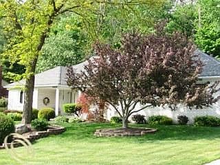 2nd image of 42064 Crestview Cir