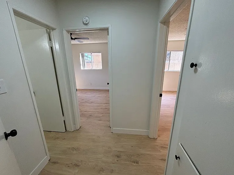 915 Mount Olive Dr — Photo 13