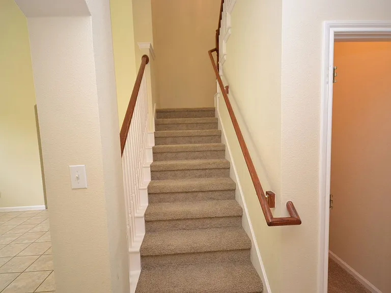 1123 Winding Creek Pl — Photo 3