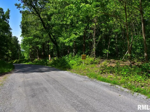 0 Robinson Hill Rd, Stonefort, IL 62987