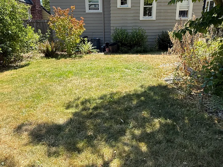 back of house from back patio