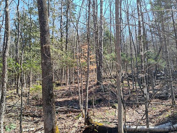 4th image of Lot 163 Page Hill Road
