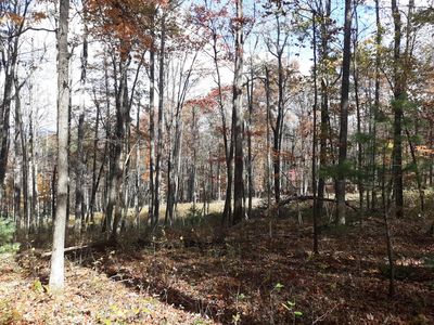 0 Midkiff Rd SE, Floyd, VA, 24091
