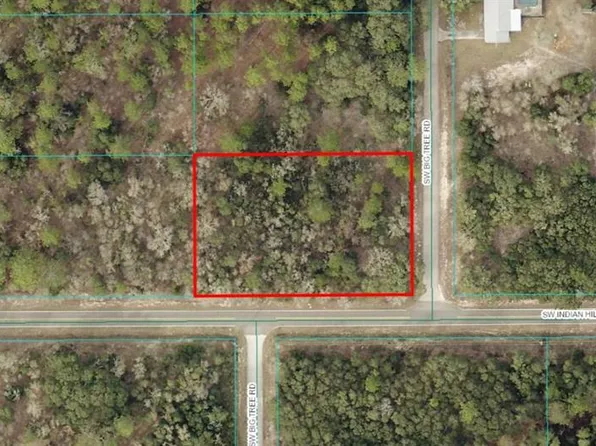 17 SW Big Tree Rd Lot 17, Dunnellon, FL 34431