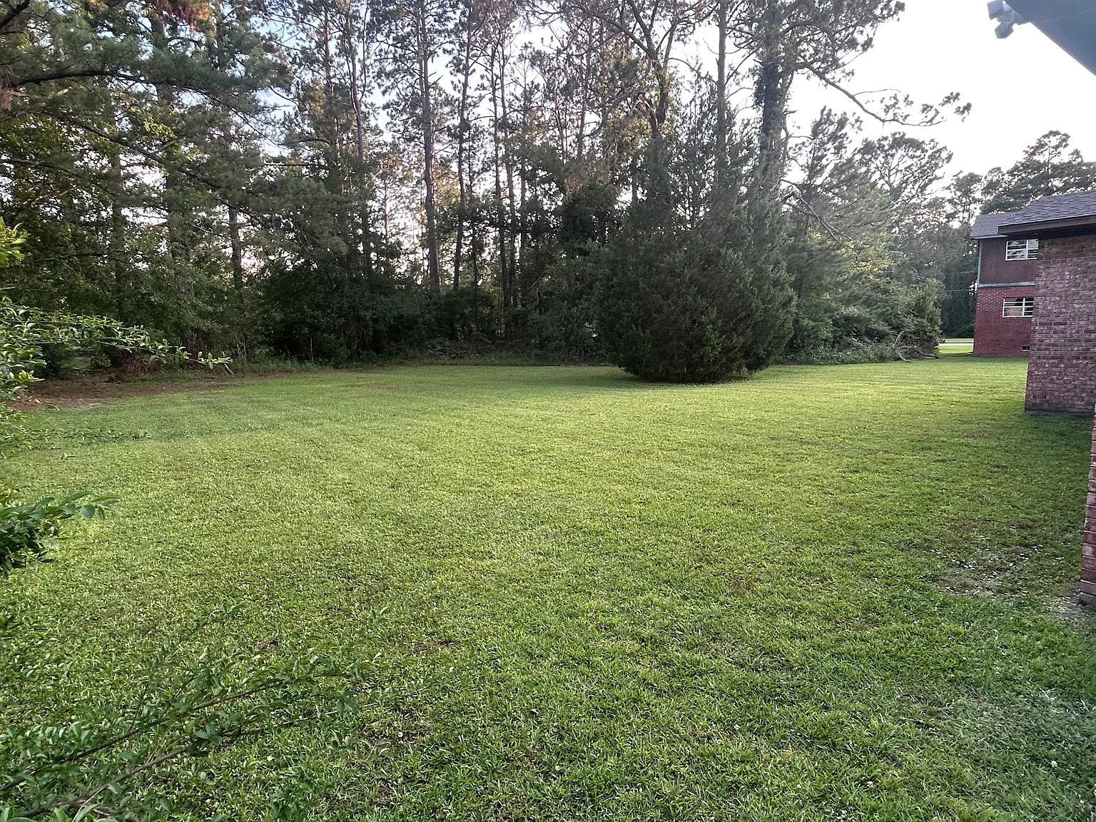 1223 Poplar Ave — Photo 3