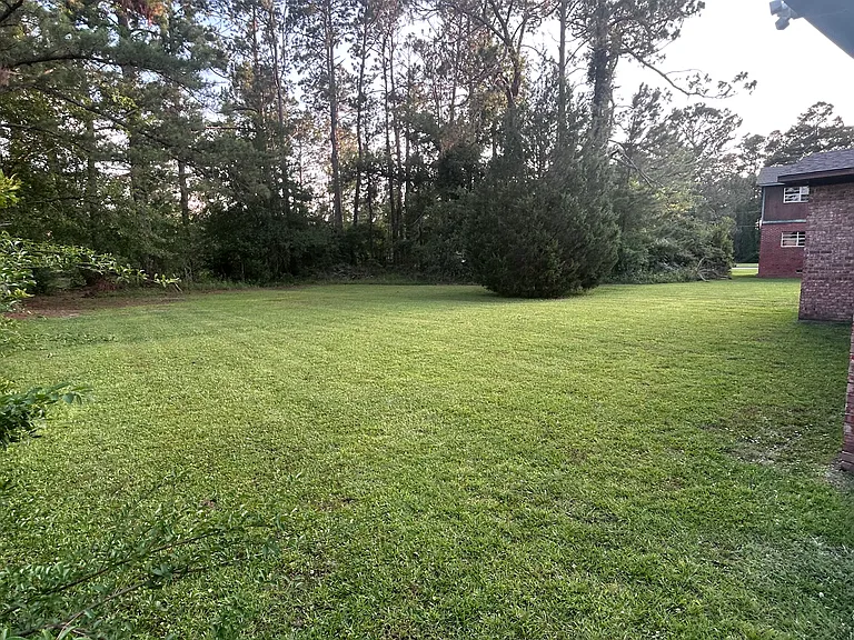 1223 Poplar Ave #A — Photo 3