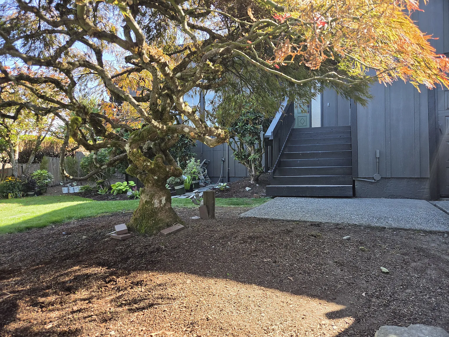 3 bed, 2000 sqft, $3,150 — Photo 2
