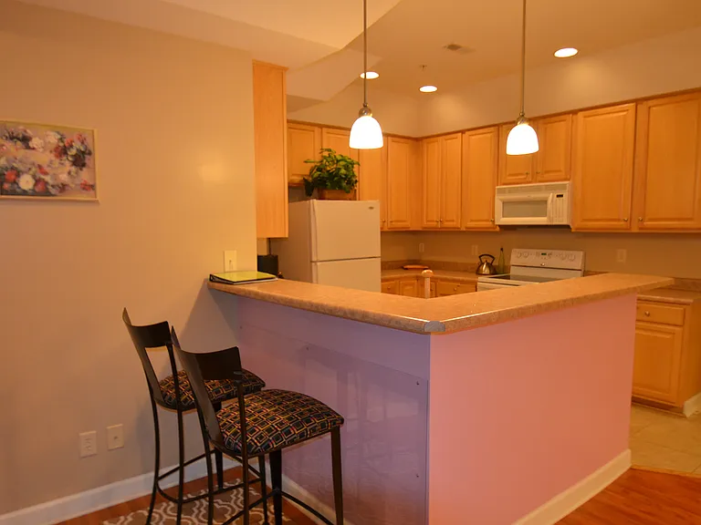 908 Resort Cir #703 — Photo 8
