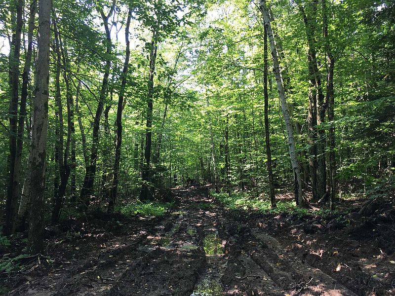 4th image of 173 TACONIC LAKE Road